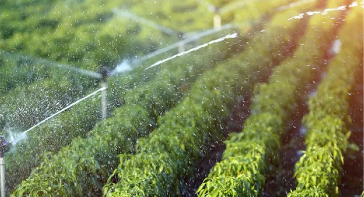 Entenda a importância do sistema de bombeamento de água na atividade agrícola